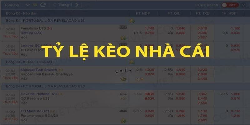 Kinh nghiệm đặt cược hiệu quả dựa trên tỷ lệ kèo Kubet