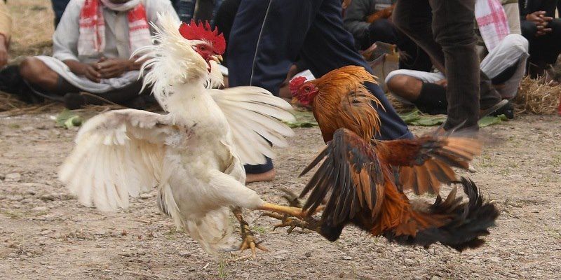 Đây cũng là một trong những bí quyết tích lũy kinh nghiệm