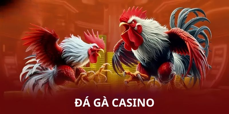 tổng quan về đá gà casino