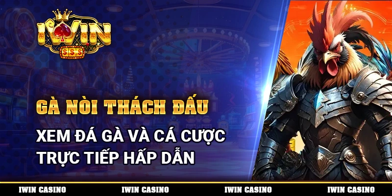 IWIN Gà Nòi Thách Đấu, Xem Đá Gà Và Cá Cược Trực Tiếp Hấp Dẫn